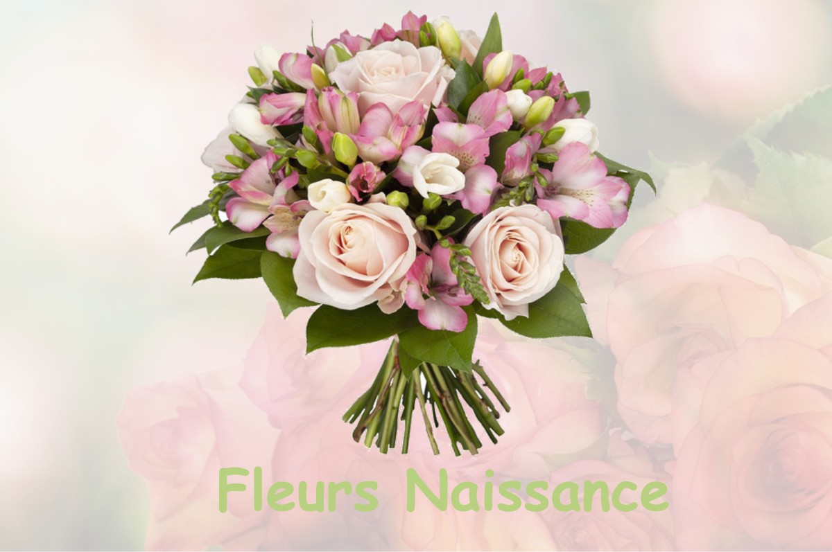 fleurs naissance MAISONNAIS-SUR-TARDOIRE