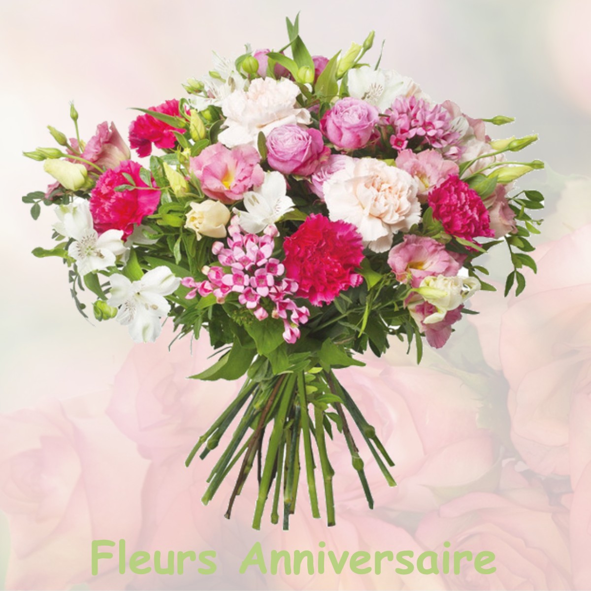fleurs anniversaire MAISONNAIS-SUR-TARDOIRE
